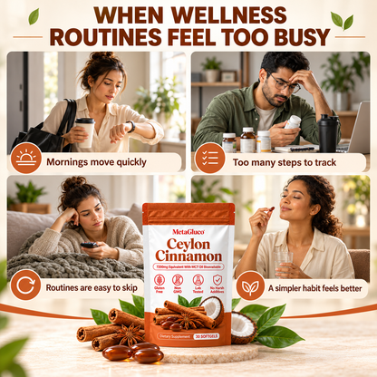 Ceylon Cinnamon 7200mg Equivalent with MCT Oil